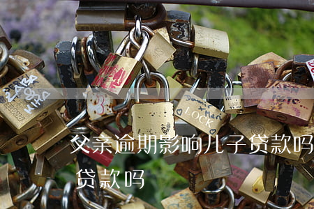 車(chē)在父親名下能貸款嗎(父親貸款逾期對(duì)我有什么影響)? 知識(shí)問(wèn)答 第2張- 車(chē)在父親名下能貸款嗎(父親貸款逾期對(duì)我有什么影響)? (http://m.ssksuo.cn/) 知識(shí)問(wèn)答 第2張