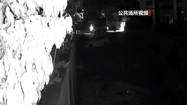 附近押車(附近哪里有押車貸款的)? (http://m.ssksuo.cn/) 知識(shí)問答 第15張