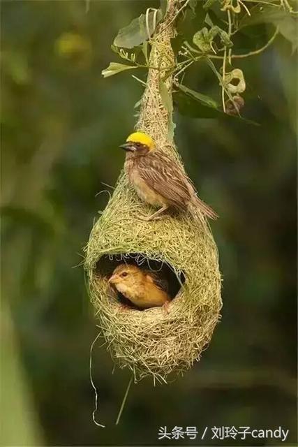 上海浦東汽車抵押貸款(上海汽車抵押貸款哪個平臺好)? 知識問答 第2張- 上海浦東汽車抵押貸款(上海汽車抵押貸款哪個平臺好)? (http://m.ssksuo.cn/) 知識問答 第2張