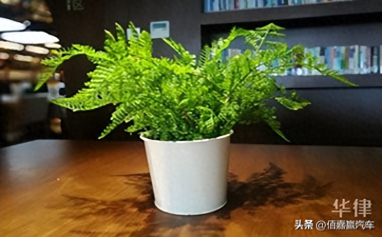 押車借錢需要啥手續(xù)(押車貸款需要什么資料)? 知識(shí)問答 第1張- 押車借錢需要啥手續(xù)(押車貸款需要什么資料)? (http://m.ssksuo.cn/) 知識(shí)問答 第1張