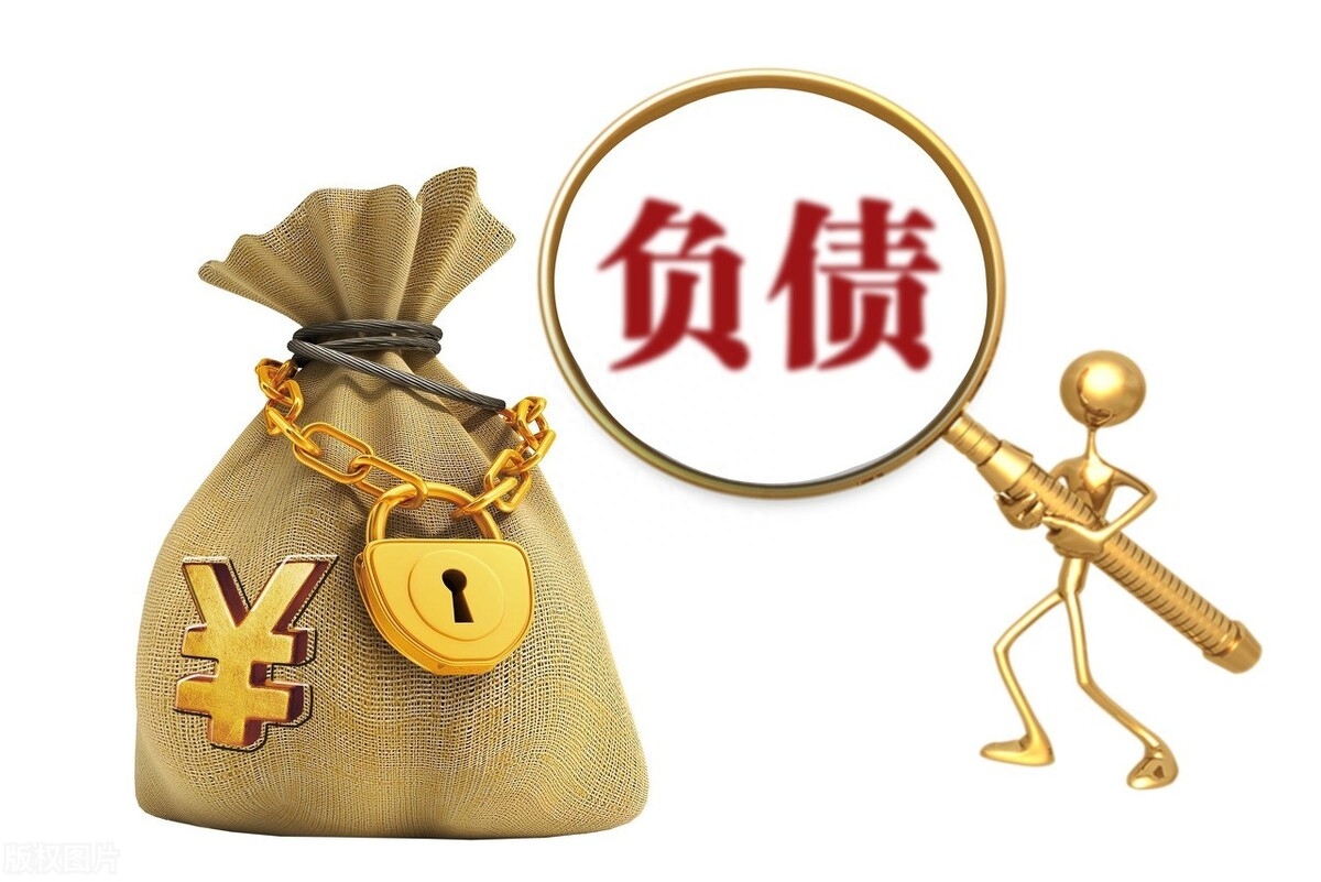 不看負債和征信的貸款(征信報告看負債)? (http://m.ssksuo.cn/) 知識問答 第3張
