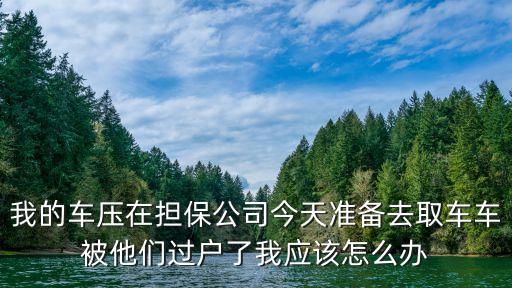 汽車過戶貸款靠譜嗎(希財網(wǎng)貸款靠譜嗎)? 知識問答 第1張- 汽車過戶貸款靠譜嗎(希財網(wǎng)貸款靠譜嗎)? (http://m.ssksuo.cn/) 知識問答 第1張