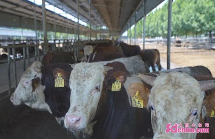 車抵押融資(抵押車融資什么意思)? 知識(shí)問答 第2張- 車抵押融資(抵押車融資什么意思)? (http://m.ssksuo.cn/) 知識(shí)問答 第2張