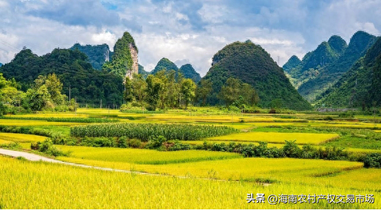 車輛抵押融資(土地違規(guī)抵押融資整改)? 知識問答 第2張- 車輛抵押融資(土地違規(guī)抵押融資整改)? (http://m.ssksuo.cn/) 知識問答 第2張