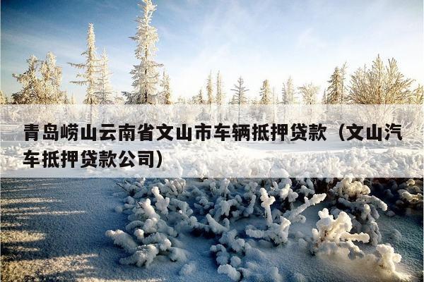 蘇州金山汽車抵押融資(涉土地違規(guī)抵押融資)? (http://m.ssksuo.cn/) 知識問答 第1張