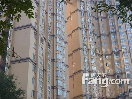 車輛抵押融資哪個平臺好(土地違規(guī)抵押融資)? (http://m.ssksuo.cn/) 知識問答 第1張