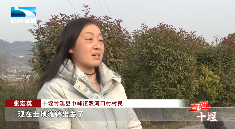 汽車抵押融資哪里好(車輛抵押融資)? (http://m.ssksuo.cn/) 知識問答 第11張