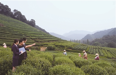 杭州小額融資(融資擔(dān)保公司和小額貸)? (http://m.ssksuo.cn/) 知識問答 第1張