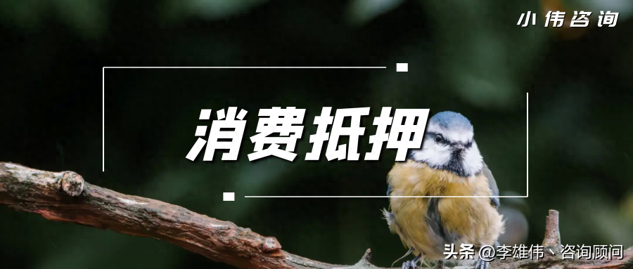 車可以抵押融資多少錢(抵押車融資什么意思)? (http://m.ssksuo.cn/) 知識(shí)問答 第2張