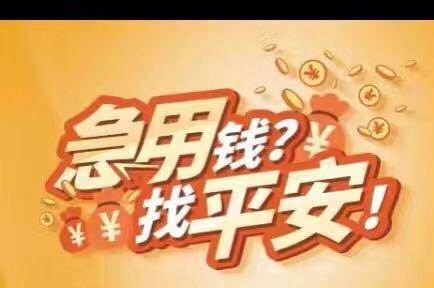 有車可以在哪個(gè)銀行申請(qǐng)融資(可以拿融資的錢買車嗎)? (http://m.ssksuo.cn/) 知識(shí)問答 第3張