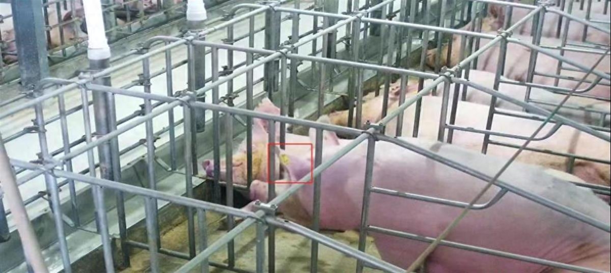 有哪些融資平臺(tái)可以抵押車的(抵押車融資什么意思)? (http://m.ssksuo.cn/) 知識(shí)問答 第1張