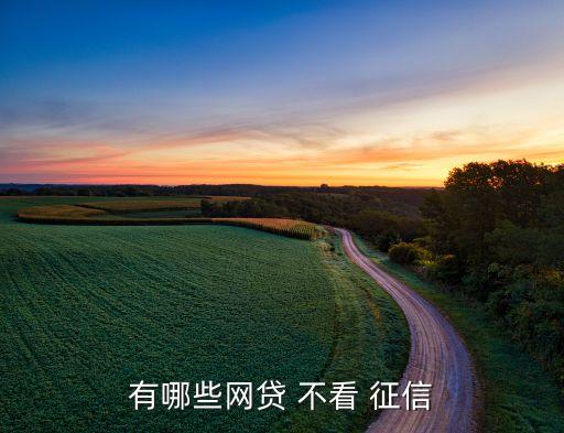 不看負債和征信的融資(融資征信)? (http://m.ssksuo.cn/) 知識問答 第2張