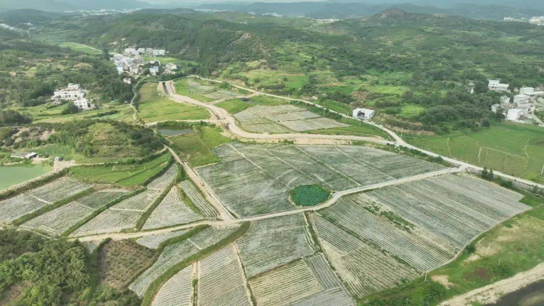 蘇州正規(guī)汽車抵押融資押證不押車(蘇州汽車融資貸款公司)? (http://m.ssksuo.cn/) 知識問答 第4張