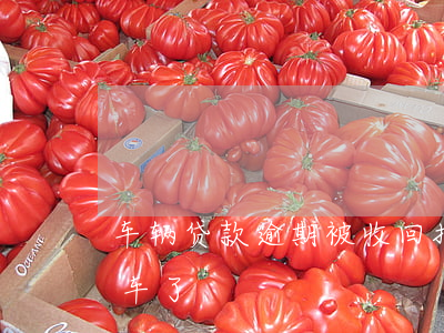 車(chē)抵押貸(抵押貸車(chē)子怎么評(píng)估)? 知識(shí)問(wèn)答 第2張- 車(chē)抵押貸(抵押貸車(chē)子怎么評(píng)估)? (http://m.ssksuo.cn/) 知識(shí)問(wèn)答 第2張