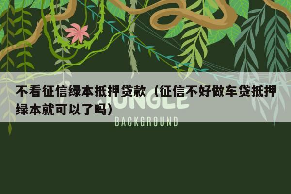 不看征信車抵貸(抵貸征信車看不看征信)? 知識(shí)問(wèn)答 第2張- 不看征信車抵貸(抵貸征信車看不看征信)? (http://m.ssksuo.cn/) 知識(shí)問(wèn)答 第2張