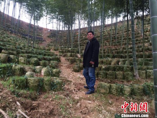 金山區(qū)抵押車貸(抵押山區(qū)貸車金怎么處理)? 知識問答 第1張- 金山區(qū)抵押車貸(抵押山區(qū)貸車金怎么處理)? (http://m.ssksuo.cn/) 知識問答 第1張