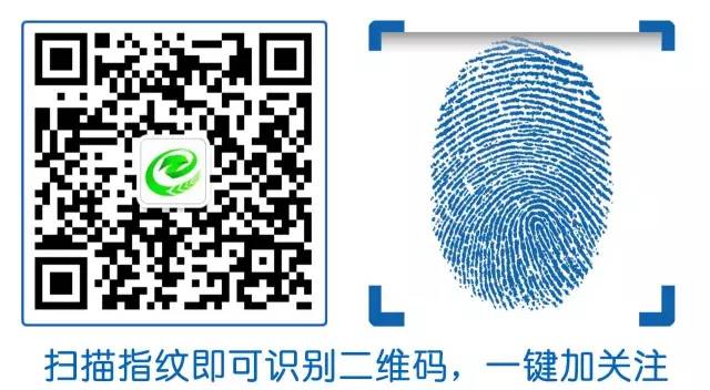 二手車抵押貸款車需要開(kāi)過(guò)去嗎(買二手車有抵押貸款能過(guò)戶嗎)? (http://m.ssksuo.cn/) 知識(shí)問(wèn)答 第2張