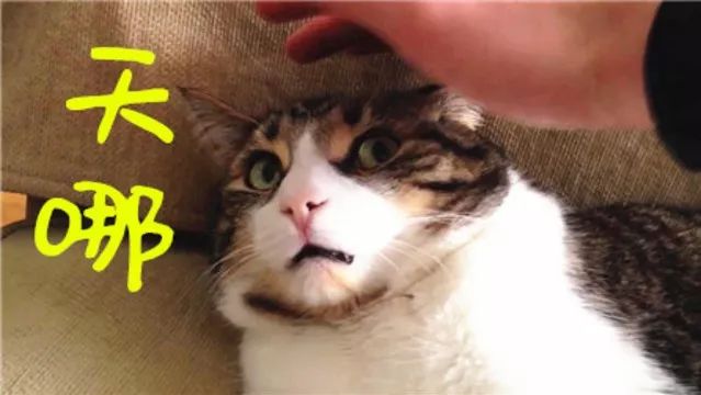 汽車網(wǎng)上抵押貸款平臺(tái)(在線抵押車貸款)? 知識(shí)問答 第4張- 汽車網(wǎng)上抵押貸款平臺(tái)(在線抵押車貸款)? (http://m.ssksuo.cn/) 知識(shí)問答 第4張