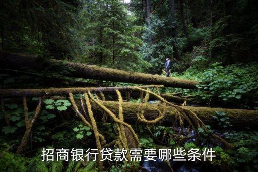 行駛證貸款(機(jī)動(dòng)車行駛證貸款)? (http://m.ssksuo.cn/) 知識(shí)問答 第2張