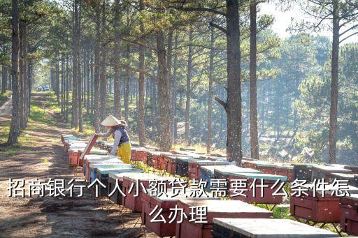 行駛證貸款(機(jī)動(dòng)車行駛證貸款)? (http://m.ssksuo.cn/) 知識(shí)問答 第3張