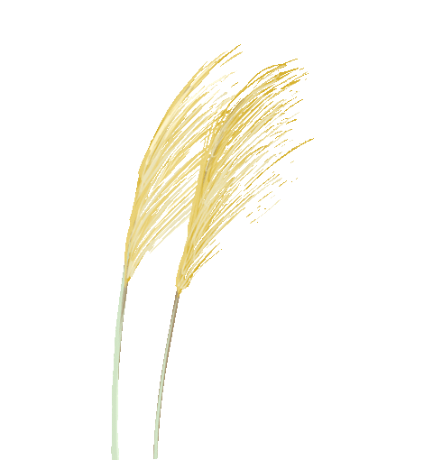 機器設(shè)備抵押貸款(設(shè)備抵押銀行貸款)? 知識問答 第2張- 機器設(shè)備抵押貸款(設(shè)備抵押銀行貸款)? (http://m.ssksuo.cn/) 知識問答 第2張