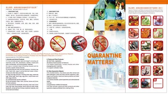 滬牌可以貸款嗎(貸款滬牌可以買車嗎)? (http://m.ssksuo.cn/) 知識問答 第17張