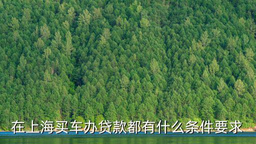 上海車牌貸款怎樣申請(qǐng)(上海車牌貸款申請(qǐng)了能取消嗎)? (http://m.ssksuo.cn/) 知識(shí)問答 第3張