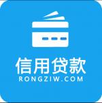 上海車牌貸款怎樣申請(上海車牌貸款申請要多久)? 知識問答 第4張- 上海車牌貸款怎樣申請(上海車牌貸款申請要多久)? (http://m.ssksuo.cn/) 知識問答 第4張