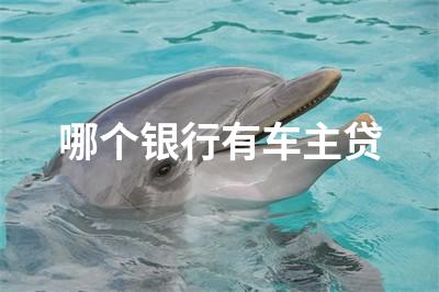 用車貸款哪個(gè)平臺(tái)靠譜(用車貸款的平臺(tái))? (http://m.ssksuo.cn/) 知識(shí)問答 第1張