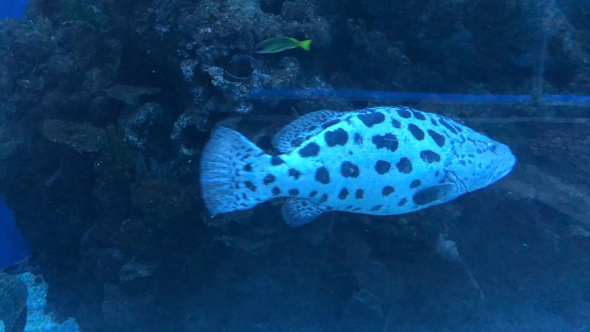 車輛二次貸款能做嗎(車能貸款幾次)? (http://m.ssksuo.cn/) 知識問答 第4張