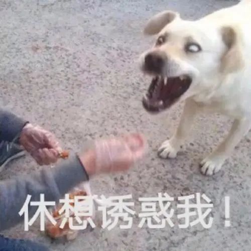 第三方車輛抵押貸款靠譜嗎%3F(三方抵押車可以買嗎)? (http://m.ssksuo.cn/) 知識(shí)問答 第2張