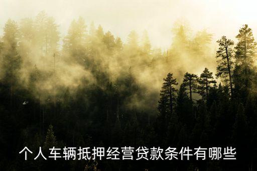 公司車抵押(抵押車公司戶好還是個人戶好)? (http://m.ssksuo.cn/) 知識問答 第2張