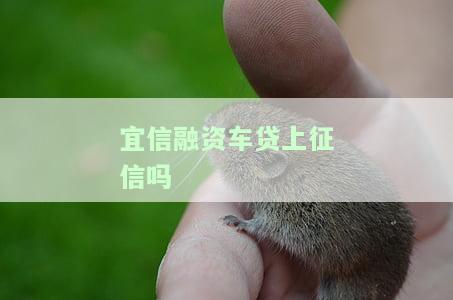 易車貸(易車貸)? (http://m.ssksuo.cn/) 知識(shí)問答 第1張