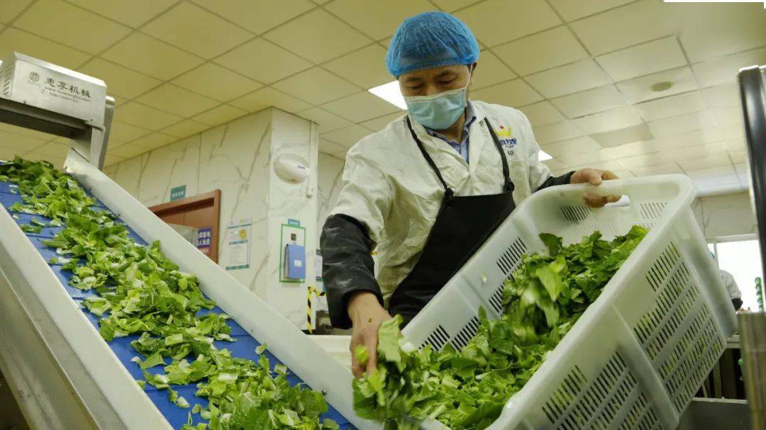 嘉定區(qū)車子抵押貸款公司(上海車抵押公司)? (http://m.ssksuo.cn/) 知識問答 第2張