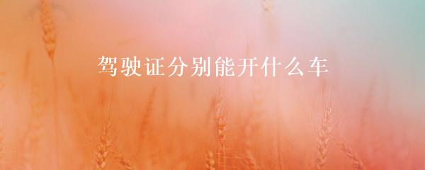 民間貸款公司(民間借貸的公司)? 知識(shí)問答 第3張- 民間貸款公司(民間借貸的公司)? (http://m.ssksuo.cn/) 知識(shí)問答 第3張