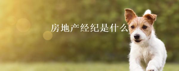 民間貸款公司(民間借貸的公司)? 知識(shí)問答 第22張- 民間貸款公司(民間借貸的公司)? (http://m.ssksuo.cn/) 知識(shí)問答 第22張