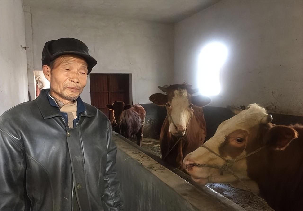 普通人怎么貸款5萬(如何貸款20萬普通人)? (http://m.ssksuo.cn/) 知識問答 第2張