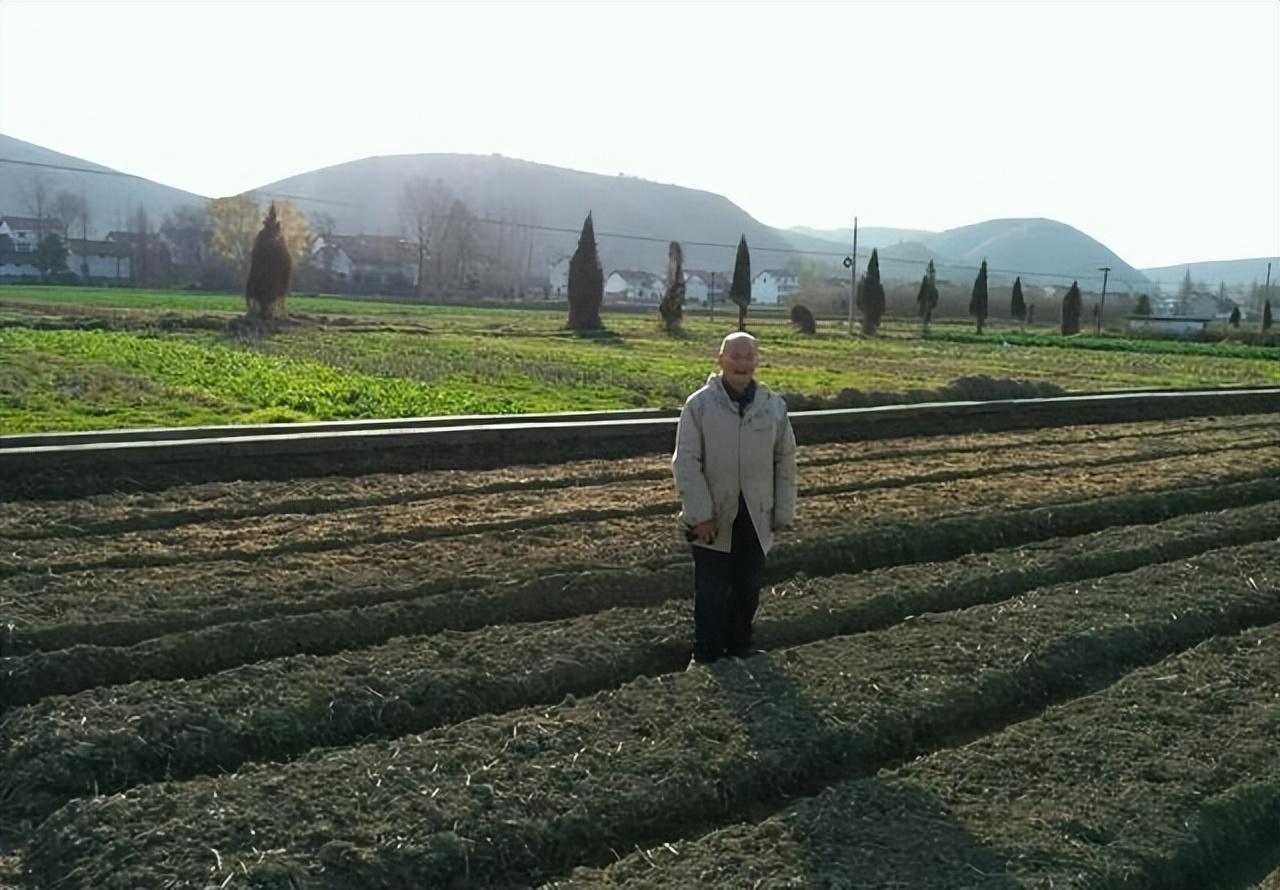 普通人怎么貸款5萬(如何貸款20萬普通人)? (http://m.ssksuo.cn/) 知識問答 第4張