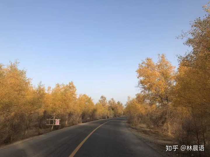 有車就能申請的網(wǎng)貸(有網(wǎng)貸買車貸款能批下來嗎)? 知識問答 第1張- 有車就能申請的網(wǎng)貸(有網(wǎng)貸買車貸款能批下來嗎)? (http://m.ssksuo.cn/) 知識問答 第1張