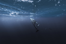 車抵貸抵押車鑰匙安全嗎(抵押車鑰匙貸款)？ (http://m.ssksuo.cn/) 知識(shí)問答 第25張