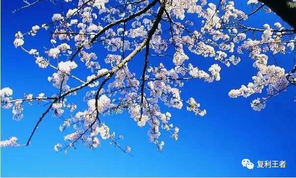 象嶼車抵貸(象嶼車抵貸利息一般是多少)？ (http://m.ssksuo.cn/) 知識(shí)問(wèn)答 第1張