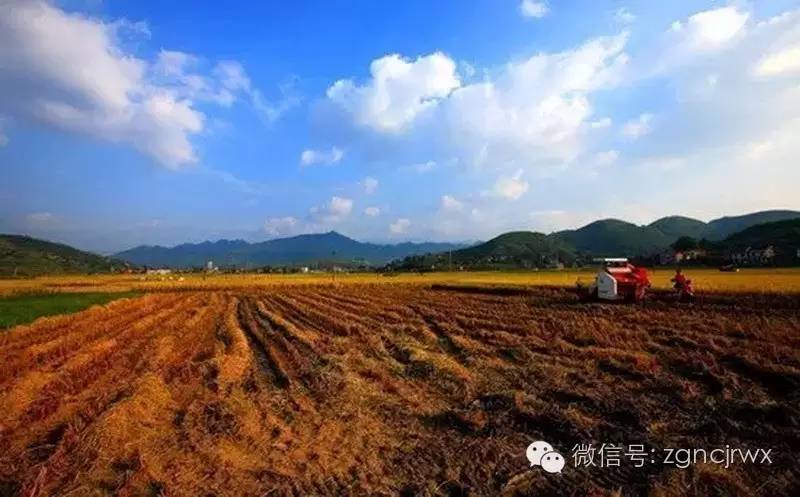 安吉汽車抵押貸款公司(安吉汽車抵押貸款公司客服)？ (http://m.ssksuo.cn/) 知識(shí)問答 第2張