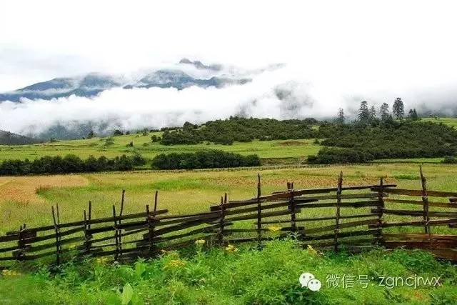 安吉汽車抵押貸款公司(安吉汽車抵押貸款公司客服)？ (http://m.ssksuo.cn/) 知識(shí)問答 第3張
