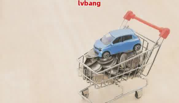 有車輛抵押貸款(抵押貸款車輛有什么影響)？ (http://m.ssksuo.cn/) 知識問答 第1張