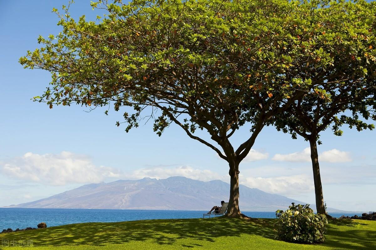 車抵押貸款銀行貸款怎么貸(銀行抵押貸款車子)？ (http://m.ssksuo.cn/) 知識問答 第7張