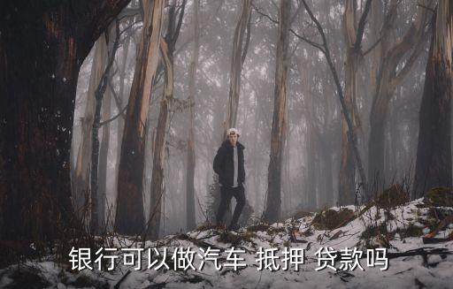 車抵押貸額度(抵押車貸款金額)？ (http://m.ssksuo.cn/) 知識(shí)問(wèn)答 第3張