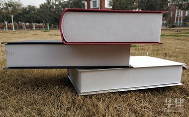 車(chē)抵貸二次抵押(抵押車(chē)貸款比例)？ (http://m.ssksuo.cn/) 知識(shí)問(wèn)答 第1張