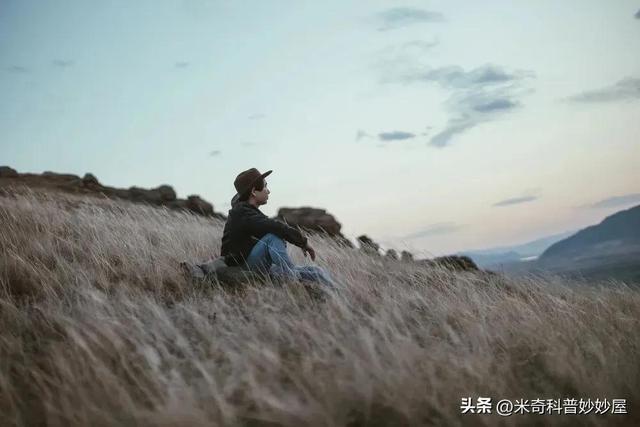 正規(guī)抵押車可以貸平臺(抵押正規(guī)貸車平臺可以貸多少錢)？ (http://m.ssksuo.cn/) 知識問答 第10張