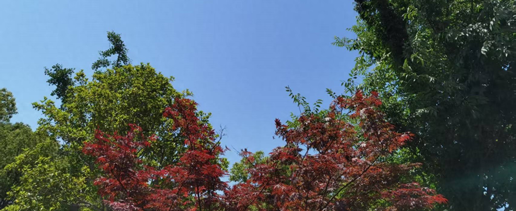 上海房產(chǎn)抵押(婚前婚后房產(chǎn)分割)？ (http://m.ssksuo.cn/) 知識(shí)問答 第1張