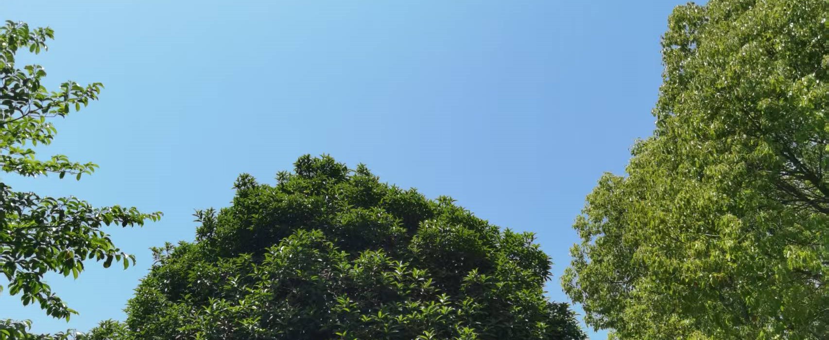 上海房產(chǎn)抵押(婚前婚后房產(chǎn)分割)？ (http://m.ssksuo.cn/) 知識(shí)問答 第2張